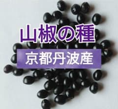 3739○600粒以上 山椒の種 京都丹波産①送料込￥700［260221］ - メルカリ