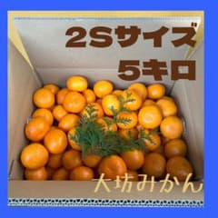5キロ♪大坊みかん♪2Sサイズ - メルカリ