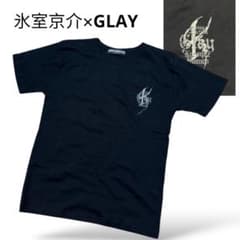 極美品 氷室京介 GLAY 2006 SWING-ADDICTION 半袖T 黒 - メルカリ