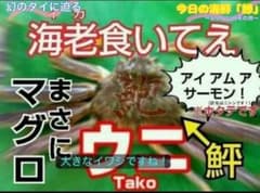 うーろん茶専用のサムネイル