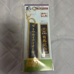 トウカイテイオー号 1993年 有馬記念キーホルダー タイトーくじのサムネイル