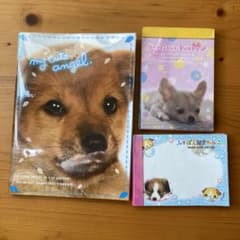 平成レトロ ノート メモ帳 実写 犬 3点セット - メルカリ