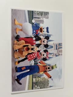 東京ディズニーリゾート ポストカード 12枚のサムネイル