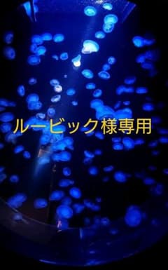 ルービックさま専用出品のサムネイル