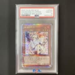 PSA10】灰流うらら 25th クオシク イラスト 絵違い【遊戯王】 - メルカリ