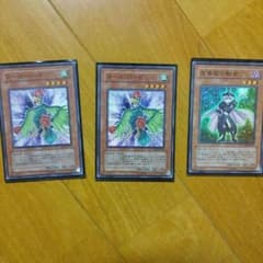 遊戯王  ナイトローズナイト 夜薔薇の騎士のサムネイル