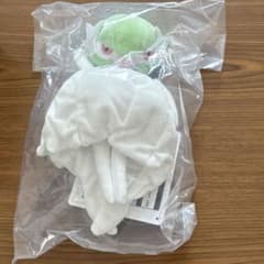 포켓몬 이치 반 쿠지 D상 메가서 나이트 봉제인형
