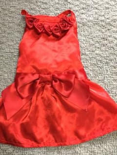 犬服 ドレスのサムネイル
