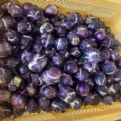 山形県産薄皮丸ナス クール便3kgピーマンサービス無農薬栽培沖縄離島除くのサムネイル