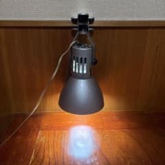 カミハタ ヴォルテスのサムネイル
