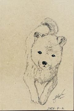 犬のペン画 イラストのサムネイル