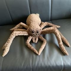 m46007628716_1.jpg?1757225572