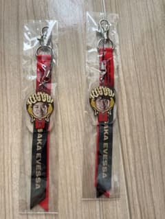 名古屋ダイヤモンドドルフィンズ マッチデーボンフィンのサムネイル
