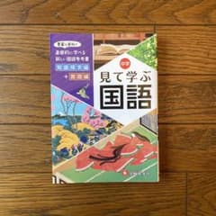 【美品】中学 見て学ぶ国語 知識探求編＋言語編 受験研究社のサムネイル