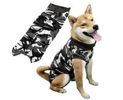 エリザベスウエアのサムネイル