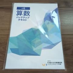 早稲田アカデミー 小6 算数 バックアップテキスト 2冊セット 早稲アカ】小6 算数 バックアップテキスト - メルカリ