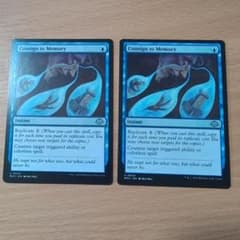 記憶への放逐 Consign to Memory 英語版 2枚セット - メルカリ