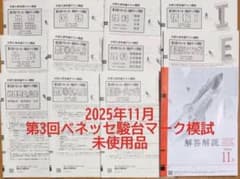 2025年第3回ベネッセ駿台マーク模試高3年11月進研共通テスト模試10月