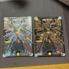 煌龍サッヴァーク黒シクのサムネイル