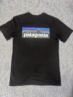 patagonia パタゴニアTシャツのサムネイル