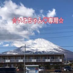 ☆いこちゃん♡専用☆のサムネイル