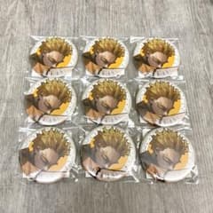 호크스 캔 배지 신십걸 9개 세트 나의 히어로 아카데미아 히로아카