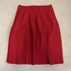 美品】イッセイミヤケ プリーツ フレアスカート - メルカリ