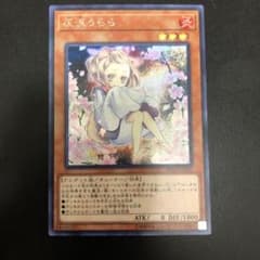 遊戯王 灰流うらら　シークレットのサムネイル