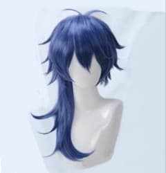 ヒプノシスマイク 有栖川帝統 ありすがわだいす ウィッグ コスプレ衣装