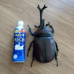 MEGAカブトムシのサムネイル