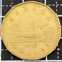カナダ 1ドル 鳥 動物 1995年 外国コイン 古銭 - メルカリ