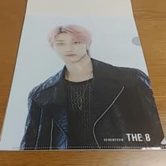 SEVENTEEN 클리어 파일 컬렉션 vol.2 THE 8