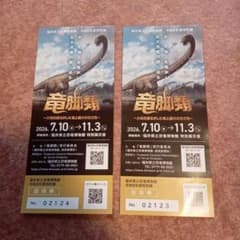 竜脚類展 招待券 2枚 福井県立恐竜博物館 特別展示室のサムネイル