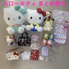 ハローキティ HELLO KITTY サンリオ ぬいぐるみ メディカル整理ポーチ