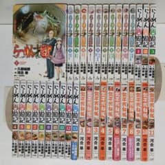 らーめん才遊記 らーめん再遊記 銀平飯科帳 全巻35冊セット らーめん才遊記 らーめん再遊記 銀平飯科帳 全巻35冊セット - メルカリ