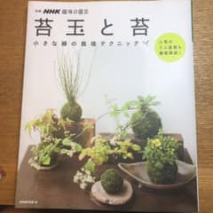 苔玉と苔 小さな緑の栽培テクニックのサムネイル