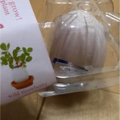 Egg Hatches Plantのサムネイル