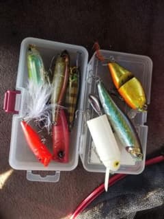 ジャイアントドッグX ビッグバド トップウォーターセットのサムネイル