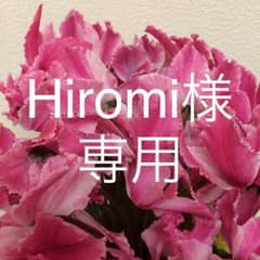 Hiromi様専用 新品、未使用 急須セット 織部のサムネイル