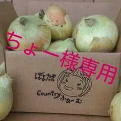 新玉ねぎ！！のサムネイル