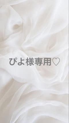 ぴよ様専用ページのサムネイル