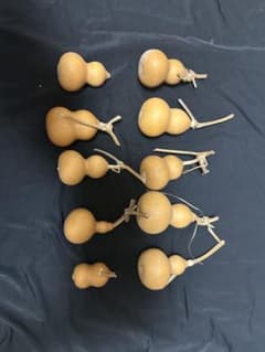 ひょうたん 10個セット - メルカリ