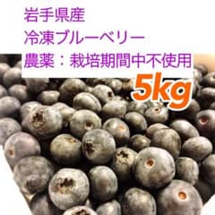 岩手県産 ブルーベリー 冷凍 5kgのサムネイル