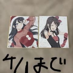 雫*ん様 青春ブタ野郎の映画特典　色紙のサムネイル