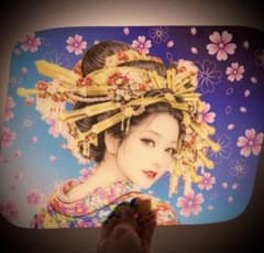 花魁✨桜✨UD✨クオン✨パーフェクトクオン✨フレンズコンドル✨安全窓 