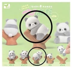 【まとめ売り】ふわふわフロッキー べびぱんだ フィギュアのサムネイル