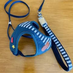 犬　カラー＆リード　セット　ハーネスリードのサムネイル