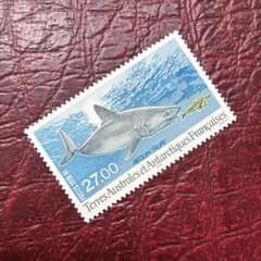 77263セール現品限 外国切手 仏領南極地域発行サメ1種揃凹版 - メルカリ
