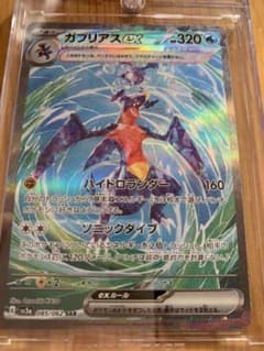 ガブリアス　SARのサムネイル