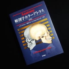 ☘️【匿名配送・送料無料・書込み無】 解剖学カラーアトラス 第8版